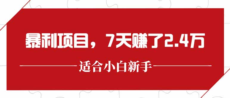 最新暴利项目，每单收益轻松在300以上，7天赚了2.4万-灼光资源宝库