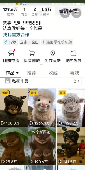 抖音65W博主AI萌宠课程，新赛道流量大，原创+二创，全套课程+提示词-灼光资源宝库