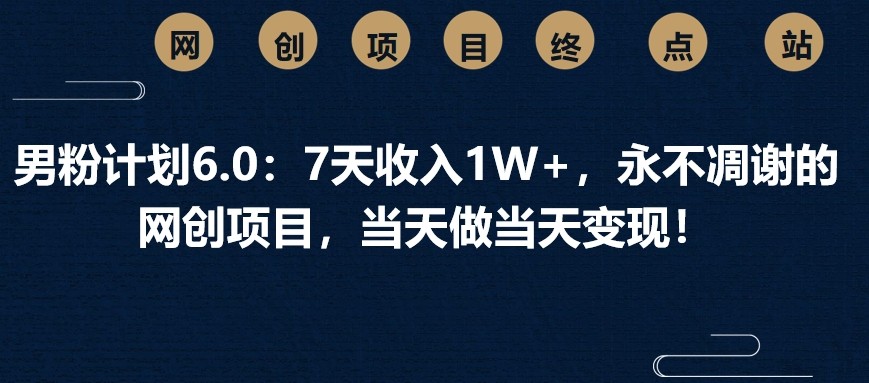 男粉计划6.0：7天收入1W+，永不凋谢的网创项目，当天做当天变现！-灼光资源宝库