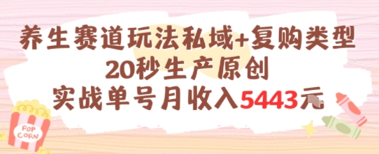 养生赛道玩法私域+复购类型，20秒生产原创实战单号月收入5k+-灼光资源宝库