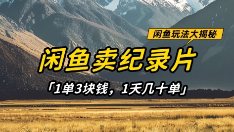 闲鱼卖纪录片1单3块钱，1天几十单，项目稳定有潜力-灼光资源宝库