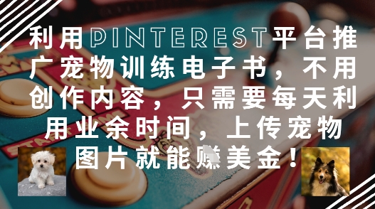 利用Pinterest平台推广宠物训练电子书，不用创作内容，只需要每天利用业余时间，上传宠物图片就能挣美金!-灼光资源宝库