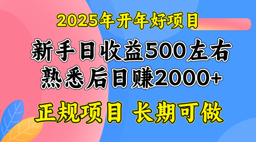 2025开年好项目，单号日收益2000左右-灼光资源宝库