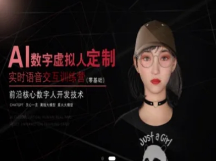 AI数字虚拟人定制，实时语音交互训练营(零基础)，前沿核心数字人开发技术-灼光资源宝库