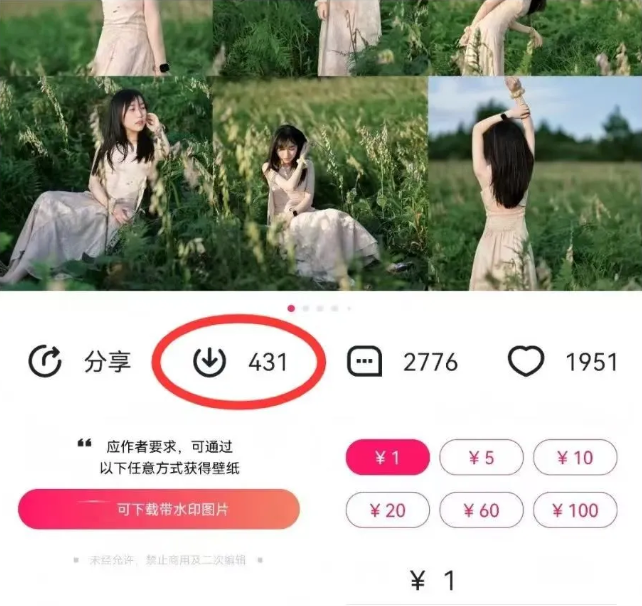 最新图虫搬运项目，收益无上限，利用AI小白也可日赚500+-灼光资源宝库