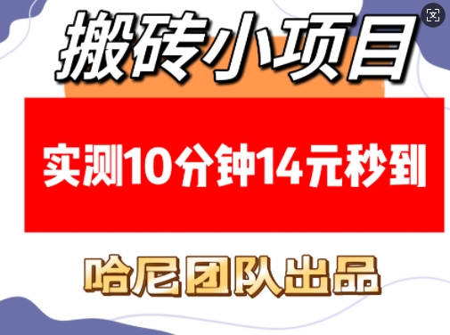 搬砖小项目,实测10分钟14元秒到,每天稳定几张(赠送必看稳定)-灼光资源宝库