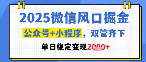 2025微信风口掘金，公众号+小程序双管齐下，单日稳定变现1k+【揭秘】-灼光资源宝库