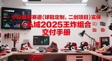 小众暴利赛道(球鞋定制，二创项目)实体+私域2025王炸组合  交付手册-灼光资源宝库
