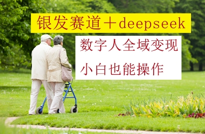 银发赛道+deepseek数字人全域变现，小白也能操作-灼光资源宝库