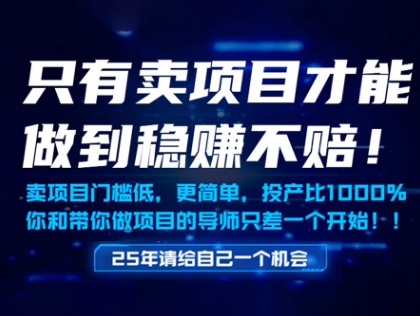 只有卖项目才能做到稳挣不赔，门槛低，更简单，你也可以年入百个W【揭秘】-灼光资源宝库