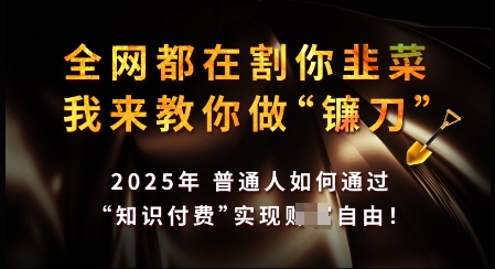 知识付费如何做到月入过W+，2025我来教你做“镰刀”【揭秘】-灼光资源宝库