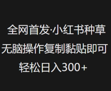 全网首发，小红书种草无脑操作，复制黏贴即可，轻松日入3张-灼光资源宝库