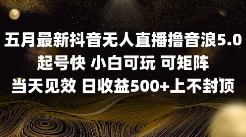 2025五月最新无人直播撸音浪单日产出5张+实操教程【揭秘】-蘑菇资源宝库