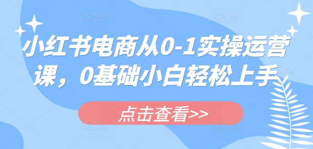 小红书电商从0-1实操运营课，0基础小白轻松上手-灼光资源宝库