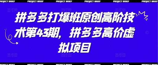 拼多多打爆班原创高阶技术第43期，拼多多高价虚拟项目-灼光资源宝库