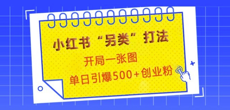 小红书“另类”打法,开局一张图,单日引爆500+精准创业粉【揭秘】-灼光资源宝库