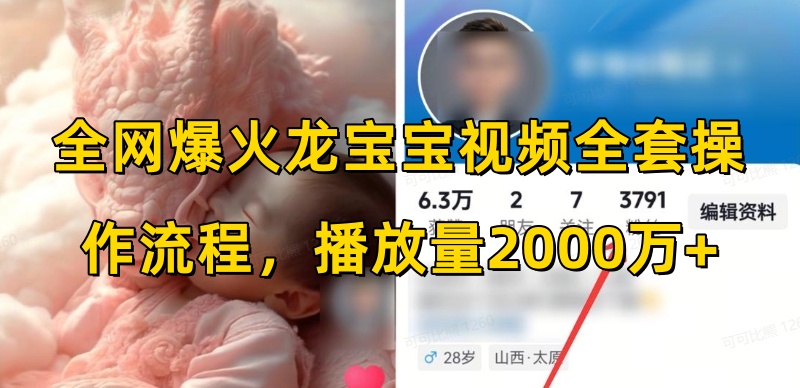 全网爆火龙宝宝视频全套操作流程,播放量2000万+-灼光资源宝库