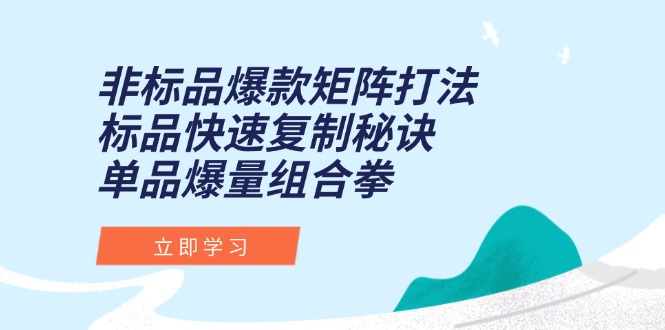 非标品爆款矩阵打法，标品快速复制秘诀，单品爆量组合拳-灼光资源宝库