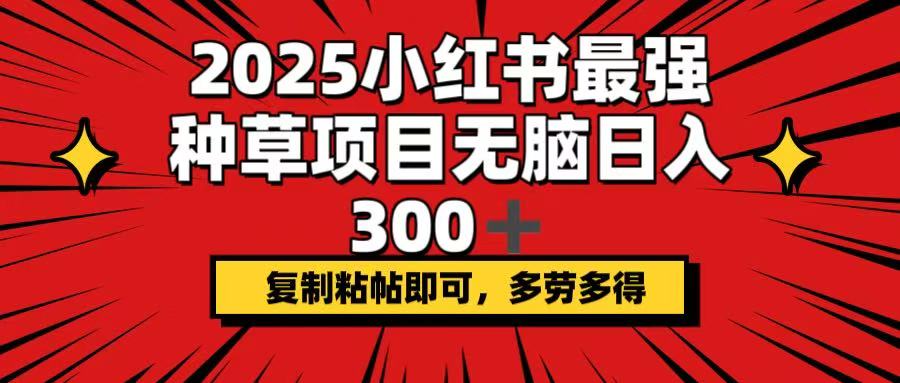 2025小红书最强种草项目，无脑日入300+，复制粘帖即可，多劳多得-灼光资源宝库