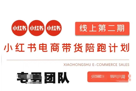 小红书电商带货课2期，月利润20个的小红书电商的有货源，无货源，虚拟产品，付费投流等整套玩法-灼光资源宝库