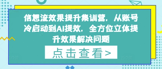 信息流效果提升集训营,从账号冷启动到AI提效,全方位立体提升效果解决问题-灼光资源宝库