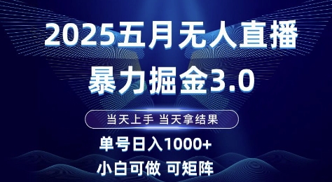 2025五月无人直播暴力掘金3.0，当天上手，当天拿结果，单号日入1k+小白可做可矩阵【揭秘】-灼光资源宝库