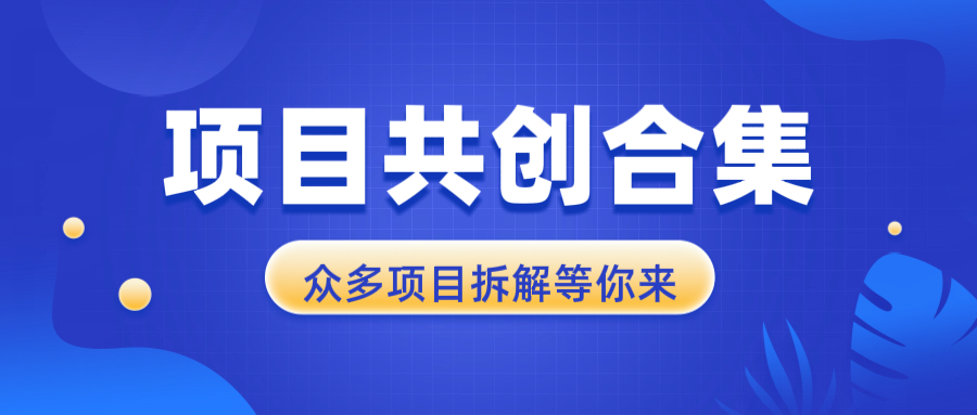 项目共创合集，从0-1全过程拆解，让你迅速找到适合自已的项目-灼光资源宝库