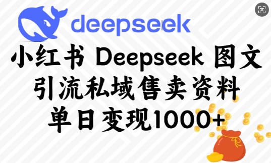 小红书Deepseek图文引流私域售卖资料，单日变现多张-灼光资源宝库