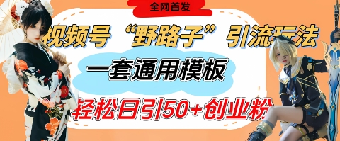 视频号“野路子”玩法,评论区疯狂截流,一套模板单日单号引流50+创业粉-灼光资源宝库