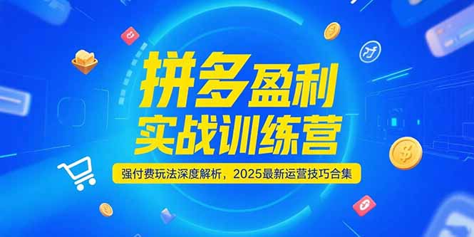 拼多多盈利实战训练营，强付费玩法深度解析，2025运营技巧合集-更新6月-灼光资源宝库