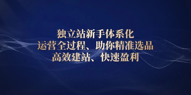 独立站新手体系化 运营全过程，助你精准选品、高效建站、快速盈利-灼光资源宝库