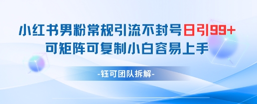小红书男粉常规引流不封号日引99+变现简单 可矩阵可复制小白容易上手-灼光资源宝库