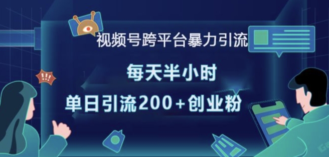 视频号跨平台暴力引流，每天半小时，单日引流200+精准创业粉-灼光资源宝库