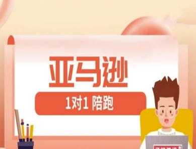 亚马逊1对1陪跑课(FBA/FBM精铺)跨境亚马逊教程-灼光资源宝库
