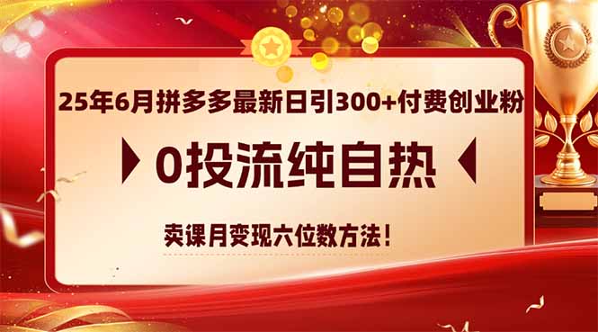 25年6月拼多多最新日引300+付费创业粉，0投流纯自热 卖课月变现六位数方法-灼光资源宝库