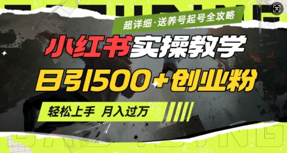 2月小红书最新日引500+创业粉实操教学【超详细】小白轻松上手，月入1W+，附小红书养号起号SOP-灼光资源宝库
