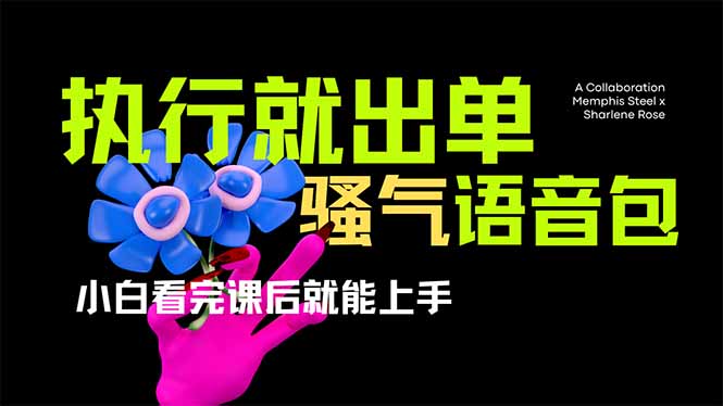 爆火全网的开车导航骚气语音包,只要执行就出单，小白看完课程就能实操…-灼光资源宝库
