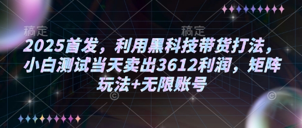 2025首发，利用黑科技带货打法，小白测试当天卖出3612利润，矩阵玩法+无限账号【揭秘】-灼光资源宝库