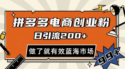 拼多多引流电商创业粉，日引200+，可矩阵放大，做了就有效【揭秘】-灼光资源宝库