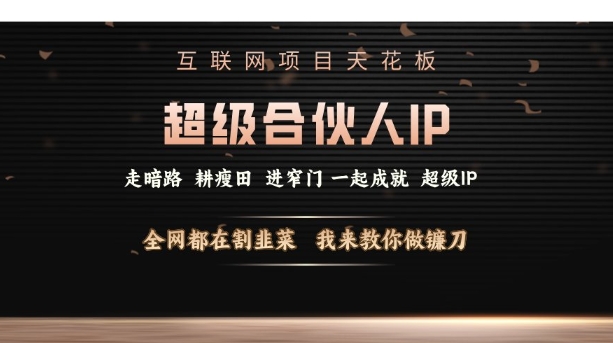 互联网项目天花板，超级合伙人IP，全网都在割韭菜，我来教你做镰刀【仅揭秘】-灼光资源宝库