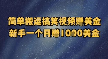 简单搬运搞笑视频挣美金，新手一个月入1k美金-灼光资源宝库